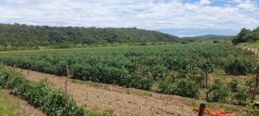 Commercial Property for Sale in Komga Rural Eastern Cape